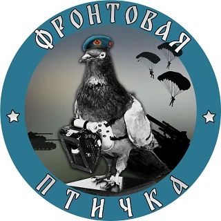 Польша не признает никаких решений по Украине, принятых без её участия, — премьер Польши Туск