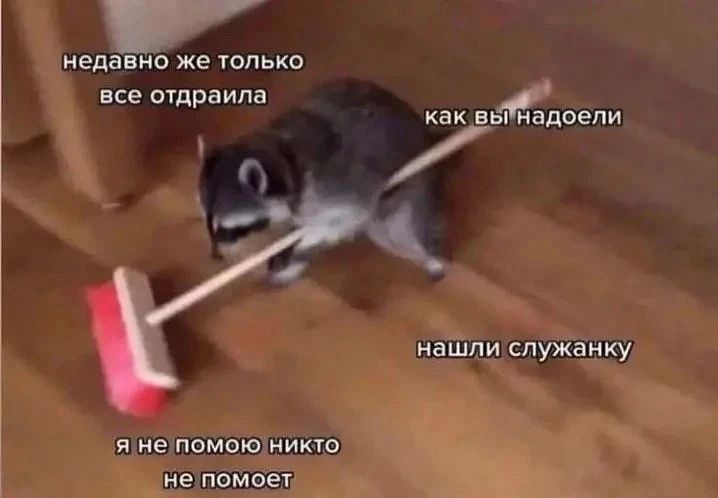 Росстандарт вводит правила правильной уборки