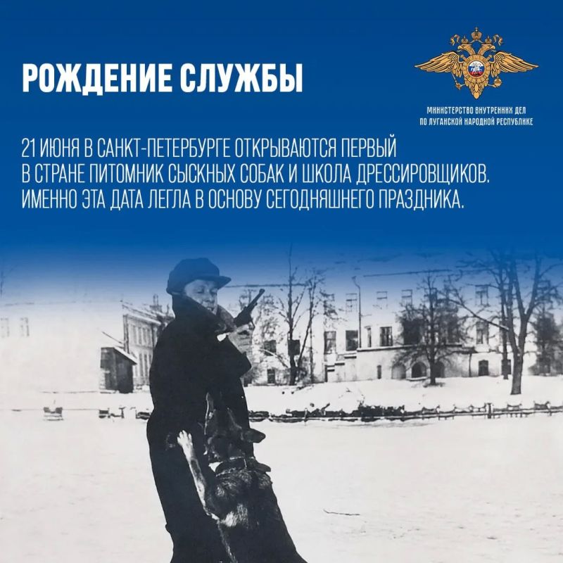Свой профессиональный праздник сегодня отмечают полицейские кинологических подразделений и их четверолапые напарники Свой профессиональный праздник сегодня отмечают полицейские кинологических подразделений и их четверолапые напарники