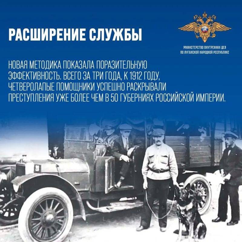 Свой профессиональный праздник сегодня отмечают полицейские кинологических подразделений и их четверолапые напарники Свой профессиональный праздник сегодня отмечают полицейские кинологических подразделений и их четверолапые напарники