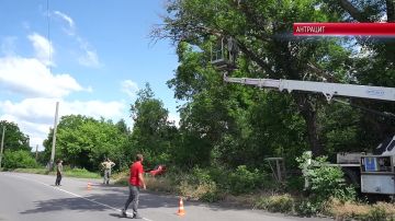 Озеленители Антрацита ежедневно наводят чистоту и порядок в городских скверах и парках