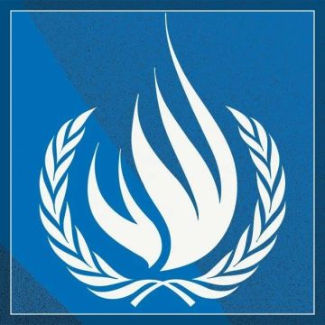 Анна Сорока: Управление Верховного комиссара ООН по правам человека (УВКПЧ) официально отреагировало на обращение Уполномоченного по правам человека в Российской Федерации Яны Лантратовой, запросив дополнительные материалы...