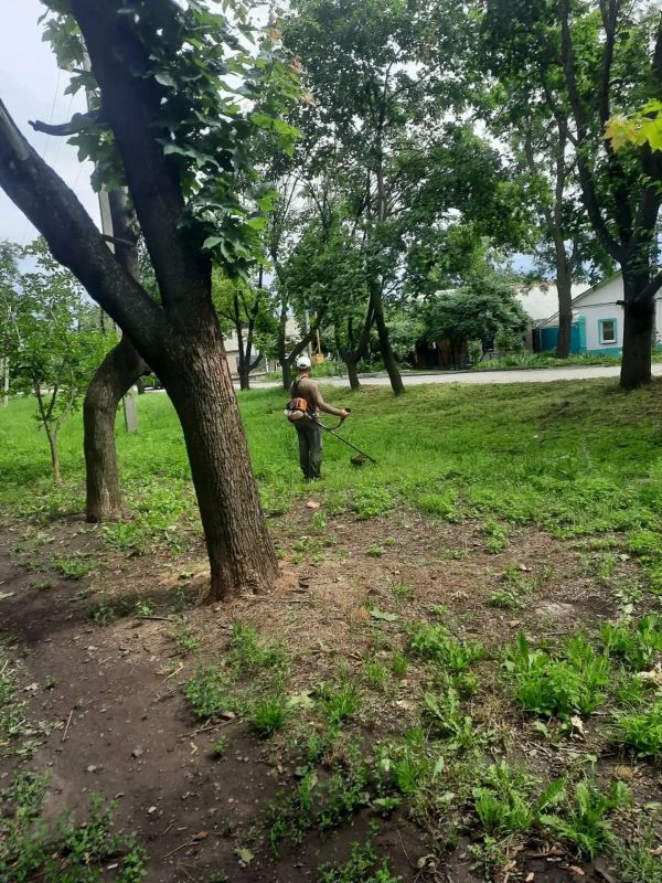 Андрей Рубанцов: Борьба с сорной растительностью в городском округе ведётся ежедневно на разных территориях с целью максимального охвата Андрей Рубанцов: Борьба с сорной растительностью в городском округе ведётся ежедневно на разных территориях с целью максимального охвата