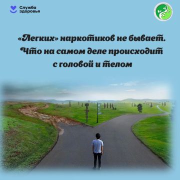 Когда мы слышим слово «наркотики», в голове часто рисуются страшные картинки из фильмов: шприцы, грязные подъезды и опустившиеся люди