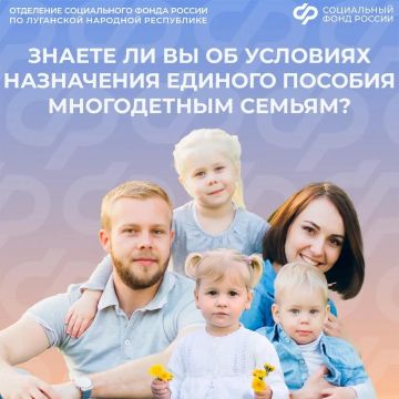 Особые условия назначения единого пособия для многодетных семей из ЛНР