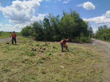 Андрей Рубанцов: По моему поручению в городском округе продолжаются работы по покосу травы на общественных территориях, вдоль дорог, в парках, скверах и жилых микрорайонах