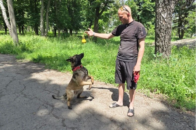 ОБЗОР ПРЕССЫ «ВОСТОЧНЫЙ ЭКСПРЕСС»: «Дрессировка – это борьба силы и интеллекта» ОБЗОР ПРЕССЫ «ВОСТОЧНЫЙ ЭКСПРЕСС»: «Дрессировка – это борьба силы и интеллекта»