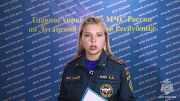 За неделю в ЛНР спасатели потушили 94 пожара, саперы нашли 21 взрывоопасный предмет