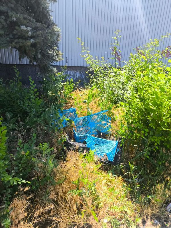 В Луганске продолжаются мероприятия по благоустройству