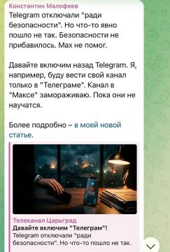 «Давайте включим назад Telegram» — православный олигарх Малофеев выступил против блокировки мессенджера