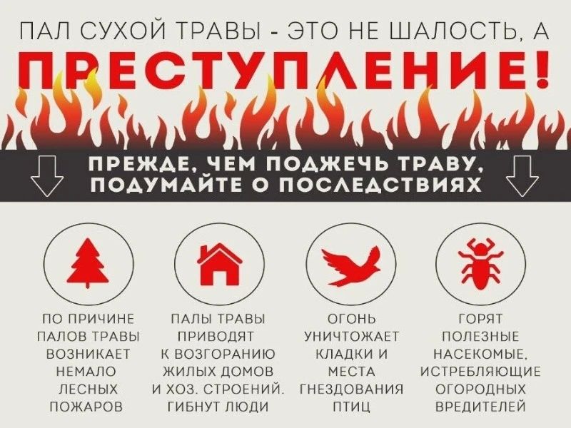 С 1 апреля по 31 октября 2026 года на территории Луганской Народной Республики действует особый противопожарный режим