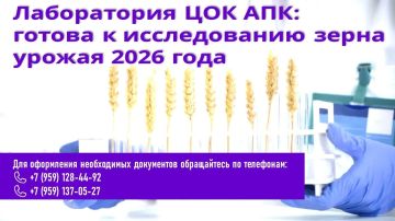 Испытательная лаборатория Юго-Западного филиала ФГБУ «ЦОК АПК» готова к исследованию зерна урожая 2026 года
