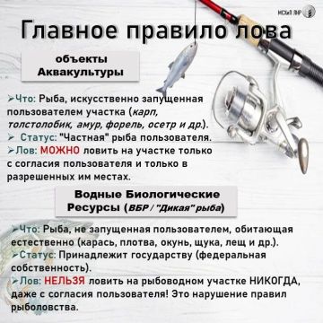 ���������� ��� ����������: ��� ����� ��������, � ��� � ������������� ���