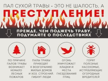 С 1 апреля по 31 октября 2026 года на территории Луганской Народной Республики действует особый противопожарный режим