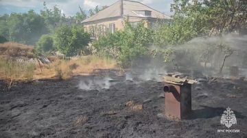 В пгт Станица Луганская, пытаясь потушить сухую траву, пострадал мужчина