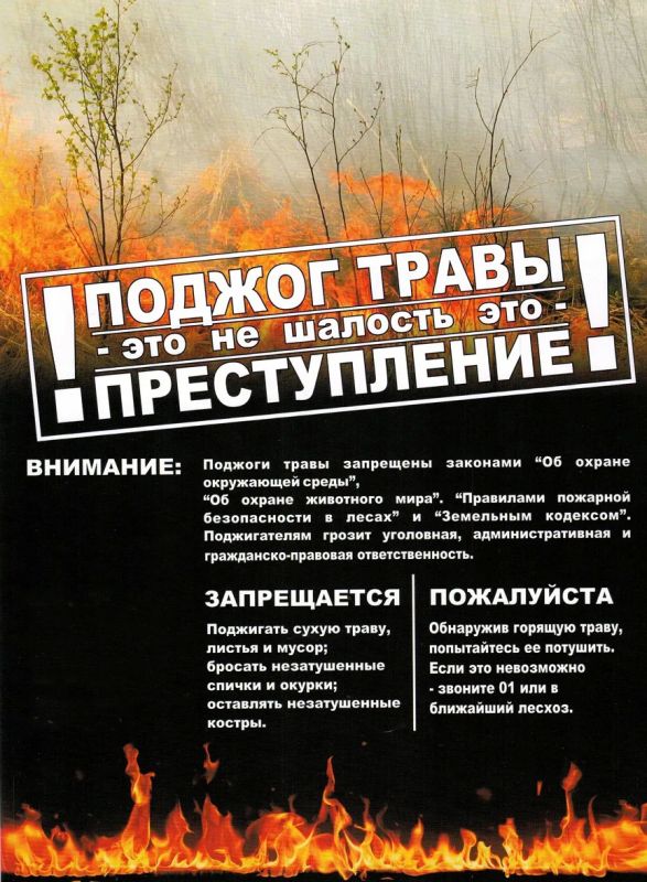 НЕ ЖГИ СУХУЮ РАСТИТЕЛЬНОСТЬ И МУСОР ! НЕ ЖГИ СУХУЮ РАСТИТЕЛЬНОСТЬ И МУСОР !