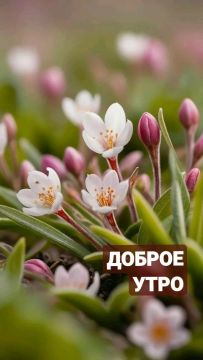 С добрым утром, дорогие жители Новопсковского муниципального округа!