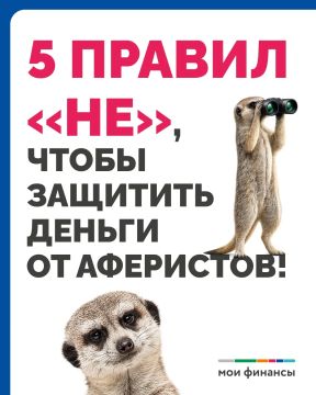 5 простых правил, которые точно обезопасят, если с вами связался мошенник