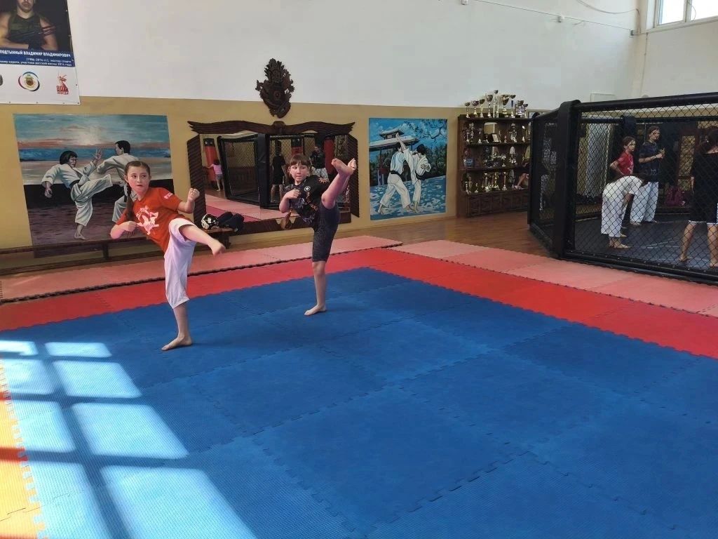 В Лутугинской спортшколе прошла открытая тренировка по каратэ для юных спортсменов В Лутугинской спортшколе прошла открытая тренировка по каратэ для юных спортсменов