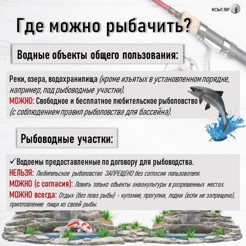 Минсельхоз ЛНР разъясняет правила рыболовства Минсельхоз ЛНР разъясняет правила рыболовства