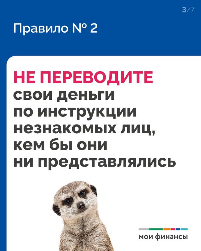 5 простых правил, которые точно обезопасят, если с вами связался мошенник 5 простых правил, которые точно обезопасят, если с вами связался мошенник