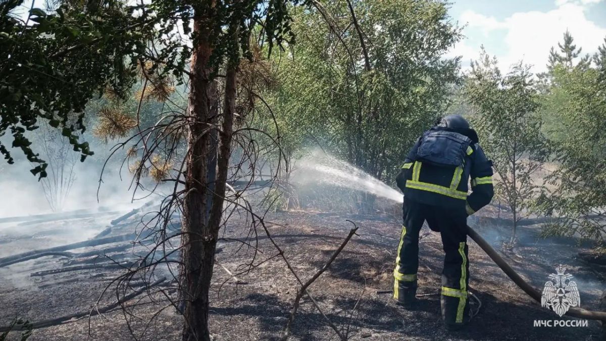 В республике продолжается борьба с ландшафтными пожарами В республике продолжается борьба с ландшафтными пожарами