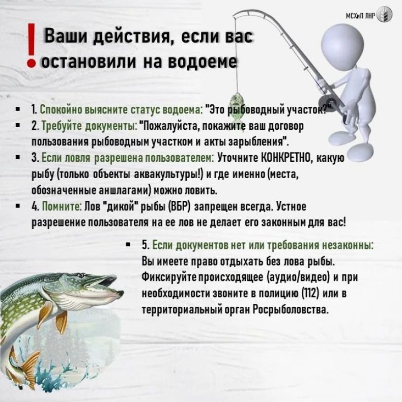 Минсельхоз ЛНР разъясняет правила рыболовства Минсельхоз ЛНР разъясняет правила рыболовства
