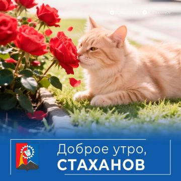 Доброе утро, родной город!