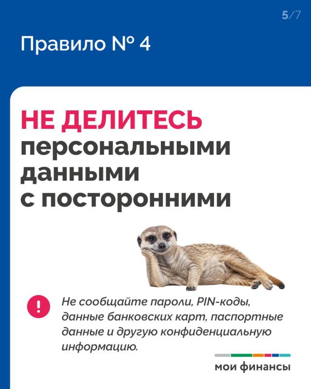 5 простых правил, которые точно обезопасят, если с вами связался мошенник 5 простых правил, которые точно обезопасят, если с вами связался мошенник