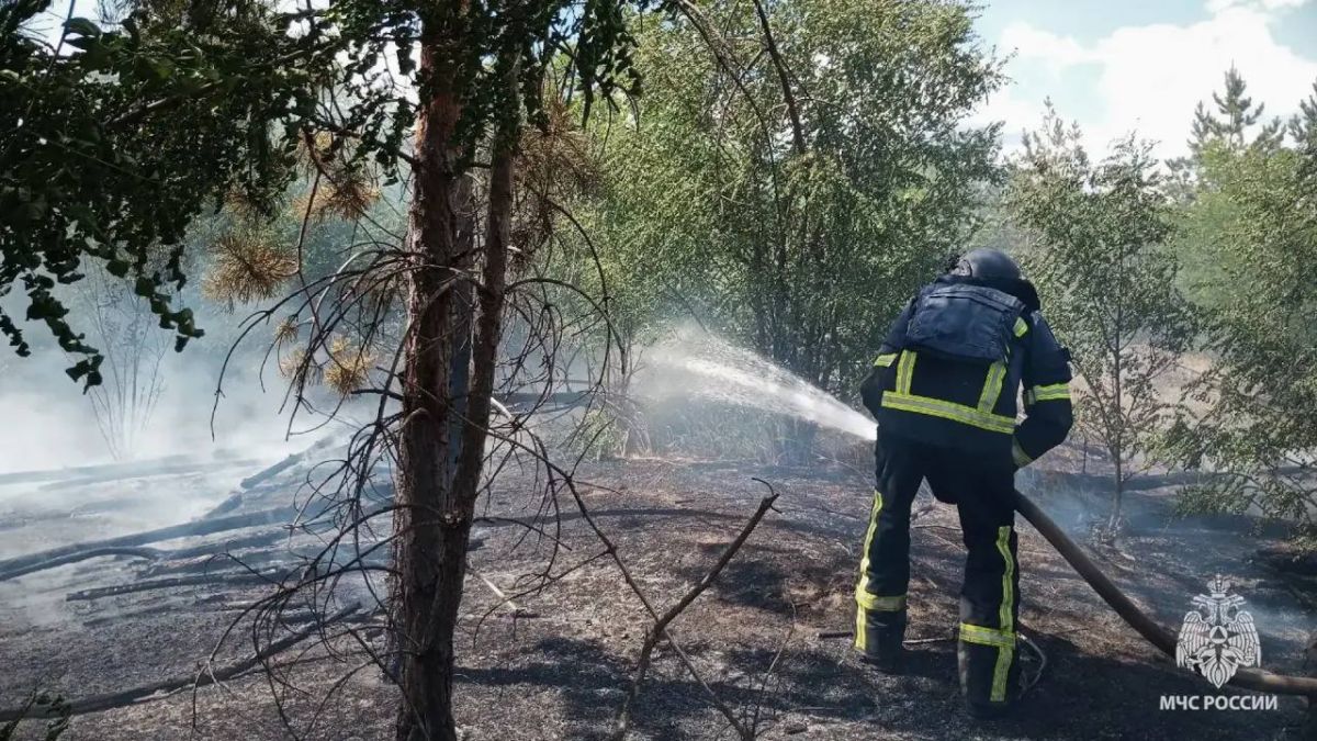 В ЛНР за сутки ликвидировали 7 ландшафтных пожаров В ЛНР за сутки ликвидировали 7 ландшафтных пожаров