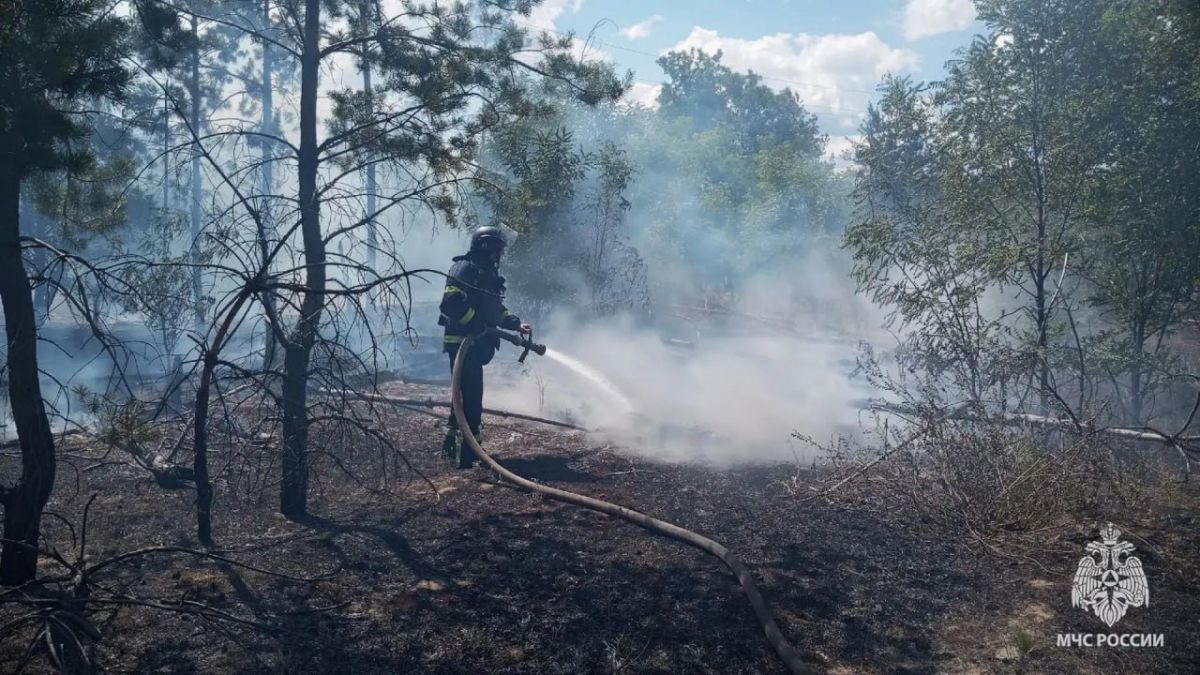 В республике продолжается борьба с ландшафтными пожарами В республике продолжается борьба с ландшафтными пожарами