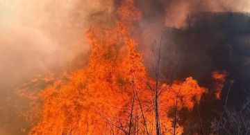 Высокая пожароопасность ожидается местами на территории ЛНР 24 и 25 июня