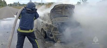 �� ����� � ��� ������������� 6 �������
