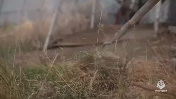 ��� ����� �����: ���������, ������� ����� ��������!