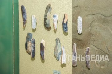 В Луганске открылась выставка, посвященная каменному веку Донбасса и Подонья