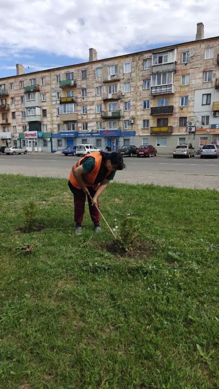Чистота и порядок – результат ежедневного труда работников коммунальной сферы Чистота и порядок – результат ежедневного труда работников коммунальной сферы