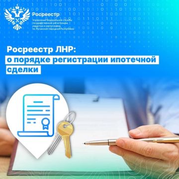 Когда нужны кадастровые работы: разъясняет Росреестр ЛНР