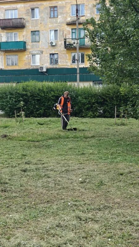 Чистота и порядок – результат ежедневного труда работников коммунальной сферы Чистота и порядок – результат ежедневного труда работников коммунальной сферы