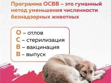 Андрей Рубанцов: БЕЗНАДЗОРНЫЕ ЖИВОТНЫЕ В РОВЕНЬКАХ - ПОД КОНТРОЛЕМ