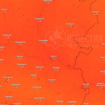 До +37 градусов ожидается завтра в ЛНР