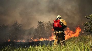 Высокая пожароопасность ожидается в ЛНР до конца суток 2 июля и 3 июля