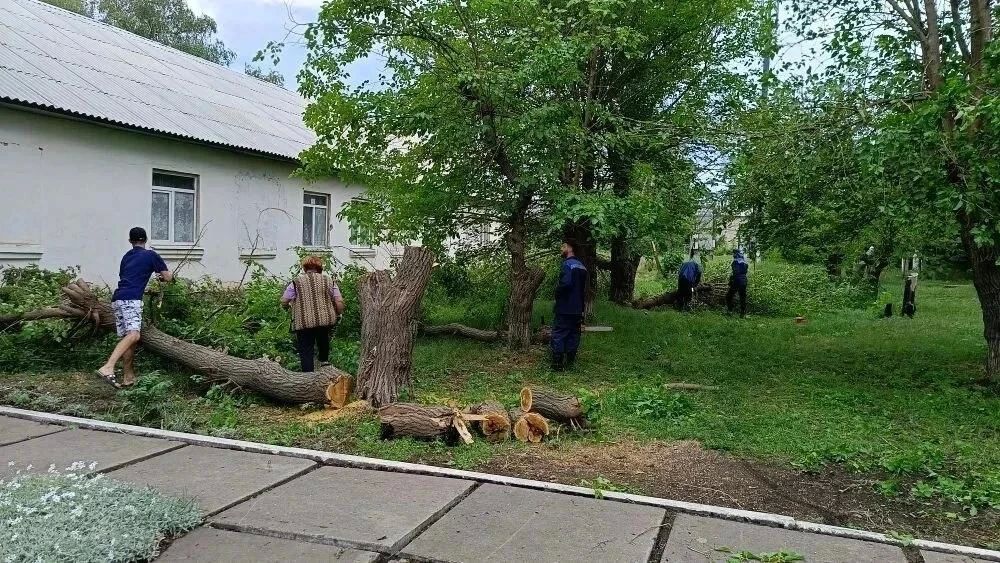 Проект инициативного бюджетирования: в Степовом начаты работы по обустройству Аллеи памяти Проект инициативного бюджетирования: в Степовом начаты работы по обустройству Аллеи памяти