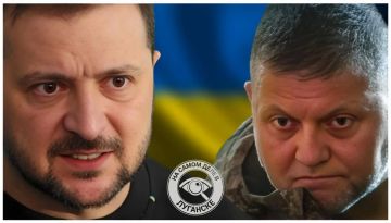 Генерал проигрыша идет в президенты