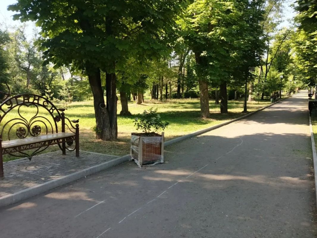 Приходите полюбоваться гортензиями в парк имени Горького Приходите полюбоваться гортензиями в парк имени Горького