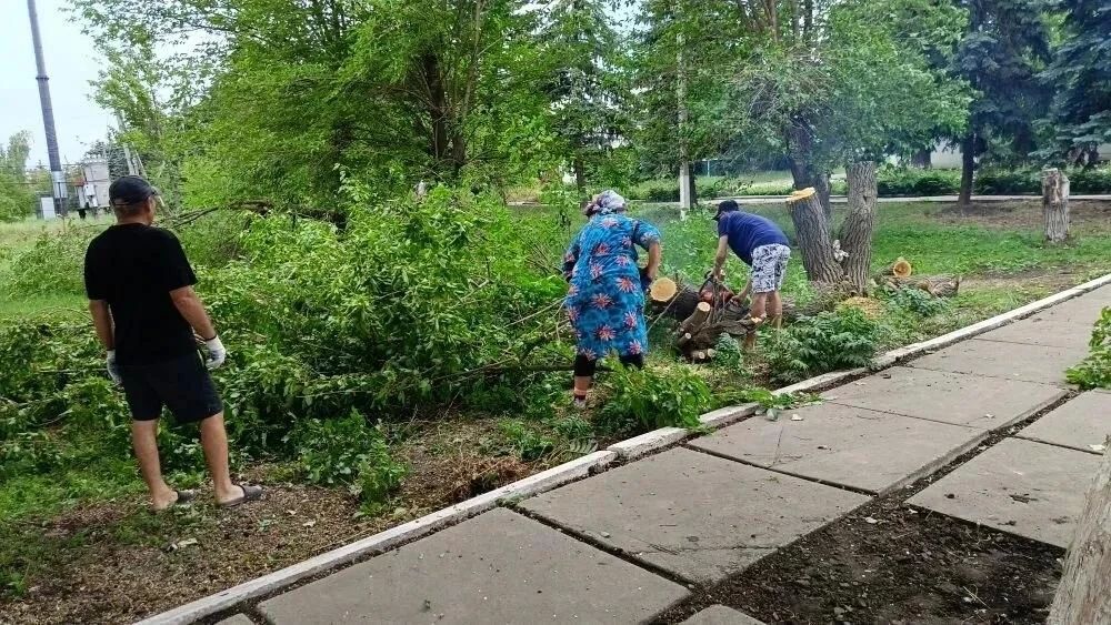 Проект инициативного бюджетирования: в Степовом начаты работы по обустройству Аллеи памяти Проект инициативного бюджетирования: в Степовом начаты работы по обустройству Аллеи памяти