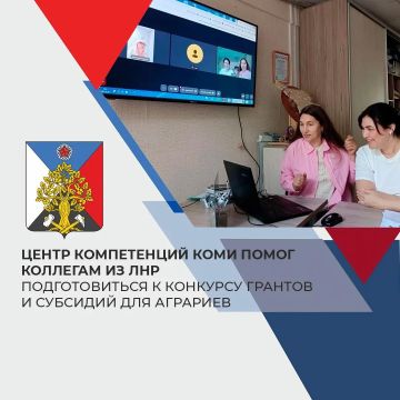 Центр компетенций Коми помог коллегам из ЛНР подготовиться к конкурсу субсидий и грантов