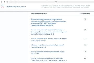 Выбор сделан: брянковчане определили приоритеты благоустройства на 2027 год