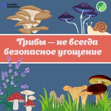 Каждый сезон врачи фиксируют случаи отравлений, иногда — с тяжелыми последствиями