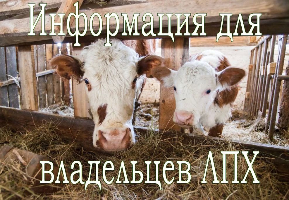Регистрация животных в ЛПХ