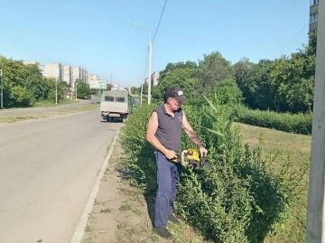 Коммунальными службами проведены работы на территории города